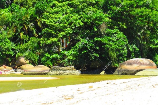 Praia do Jabaquara e Praia do Pontal na cidade Histórica de Paraty - Image 13