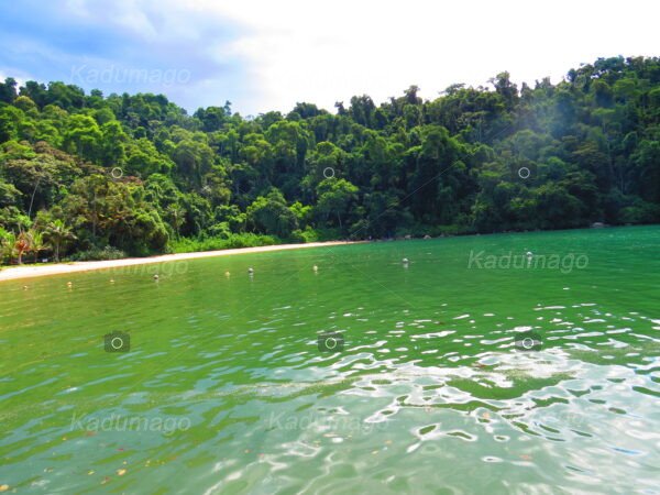 Praia do Jurumirm em Paraty, Brasil - Image 6