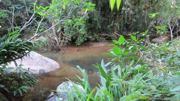 Cachoeira da Serra da Várzea do Corumbê 2024 - Image 10