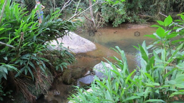 Cachoeira da Serra da Várzea do Corumbê 2024 - Image 11