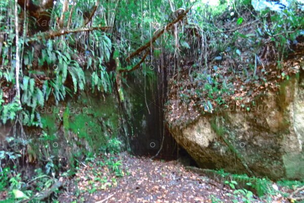 Sítio Arqueológico Toca do Cassununga - Image 13