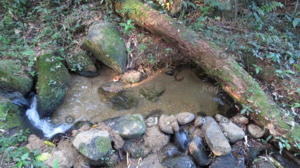 Cachoeira da Serra da Várzea do Corumbê 2024 - Image 14