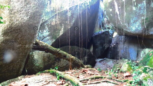 Sítio Arqueológico Toca do Cassununga - Image 17