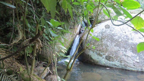 Cachoeira da Serra da Várzea do Corumbê 2024 - Image 5