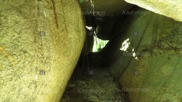 Sítio Arqueológico Toca do Cassununga - Image 6