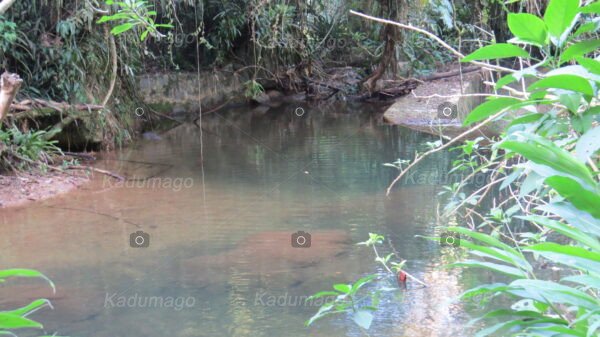 Cachoeira da Serra da Várzea do Corumbê 2024 - Image 7