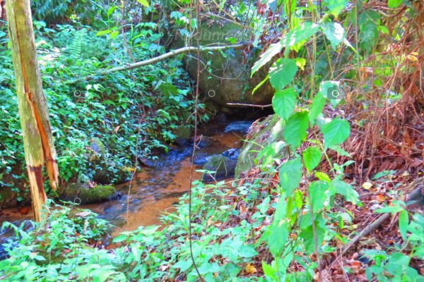 Cachoeira da Serra da Várzea do Corumbê 2025 - Image 4